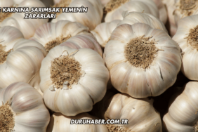 Aç Karnına Sarımsak Yemenin Zararları