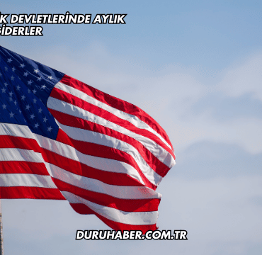 Amerika Birleşik Devletlerinde Aylık Giderler