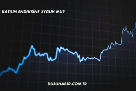 DOAS Katılım Endeksine Uygun mu?