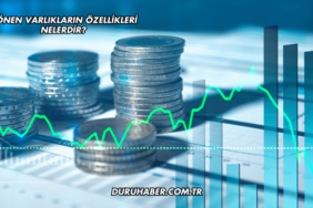 Dönen Varlıkların Özellikleri Nelerdir?