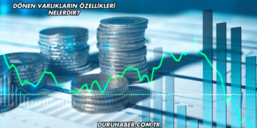 Dönen Varlıkların Özellikleri Nelerdir?