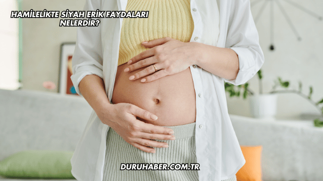 Hamilelikte Siyah Erik Faydaları Nelerdir?