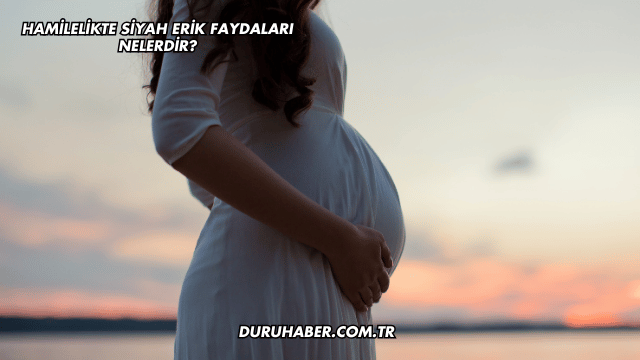 Hamilelikte Siyah Erik Faydaları Nelerdir?