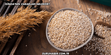 Kinoa'nın Zararları Nelerdir?