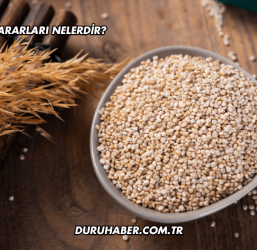Kinoa'nın Zararları Nelerdir?