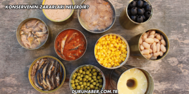 Konservenin Zararları Nelerdir?