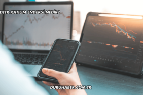 SDTTR Katılım Endeksi Nedir?
