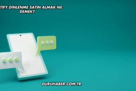 Spotify Dinlenme Satın Almak Ne Demek?