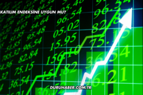 THY Katılım Endeksine Uygun mu?