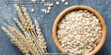 Zayıflamada Yulafın Faydaları Nelerdir?