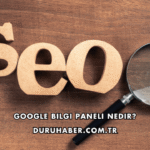 Google Bilgi Paneli Nedir?