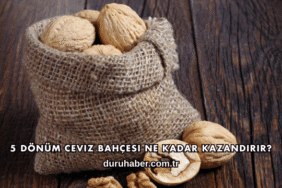 5 Dönüm Ceviz Bahçesi Ne Kadar Kazandırır?