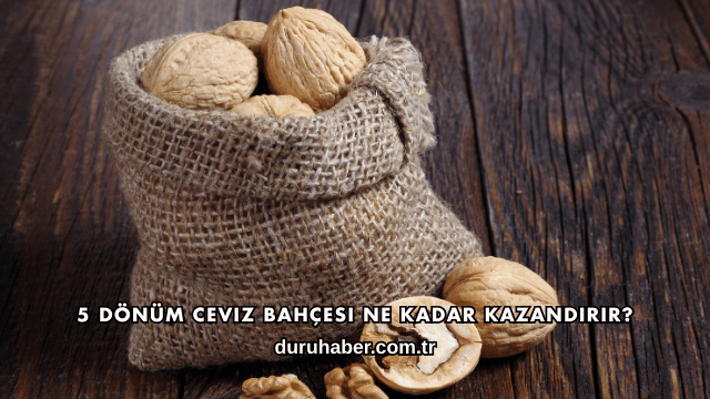 5 Dönüm Ceviz Bahçesi Ne Kadar Kazandırır?