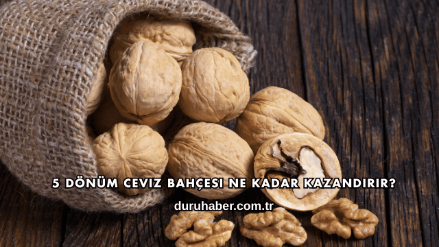 5 Dönüm Ceviz Bahçesi Ne Kadar Kazandırır?