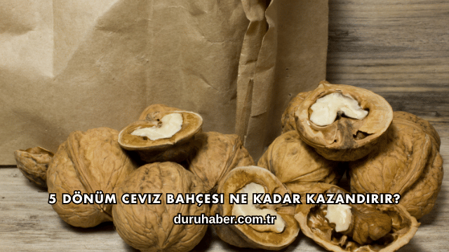 5 Dönüm Ceviz Bahçesi Ne Kadar Kazandırır?
