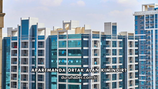 Apartmanda Ortak Alan Kimindir?