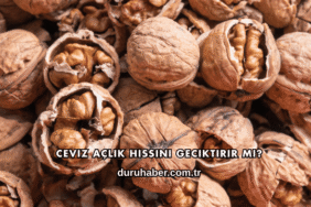 Ceviz Açlık Hissini Geciktirir mi?