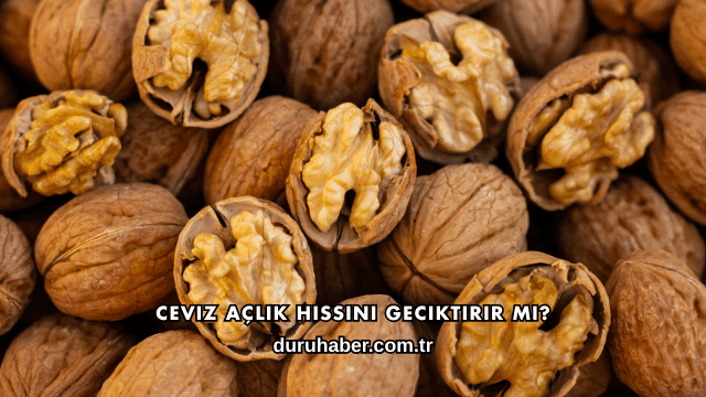 Ceviz Açlık Hissini Geciktirir mi?