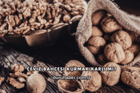Ceviz Bahçesi Kurmak Karlı mı?