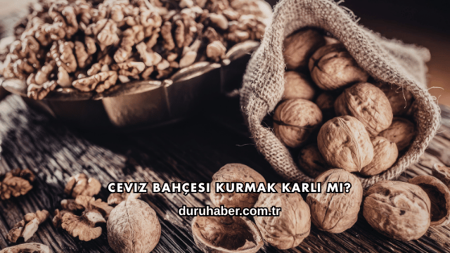 Ceviz Bahçesi Kurmak Karlı mı?