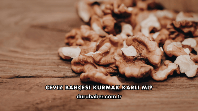 Ceviz Bahçesi Kurmak Karlı mı?