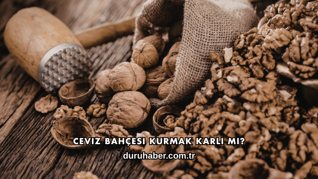 Ceviz Bahçesi Kurmak Karlı mı?