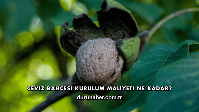 Ceviz Bahçesi Kurulum Maliyeti Ne Kadar?