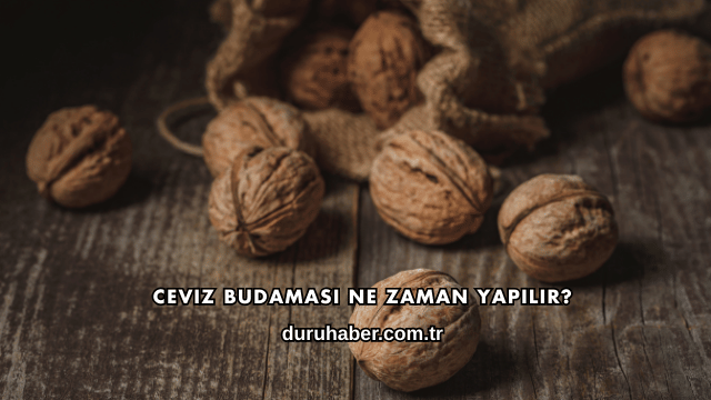 Ceviz Budaması Nasıl Yapılır?