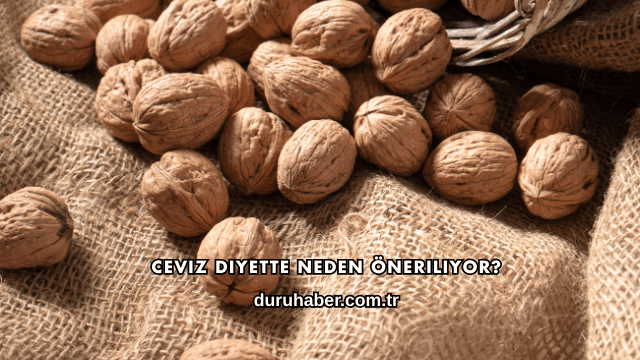Ceviz Diyette Neden Öneriliyor?
