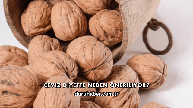 Ceviz Diyette Neden Öneriliyor?