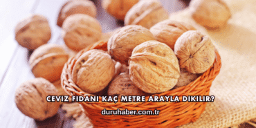 Ceviz Fidanı Kaç Metre Arayla Dikilir?