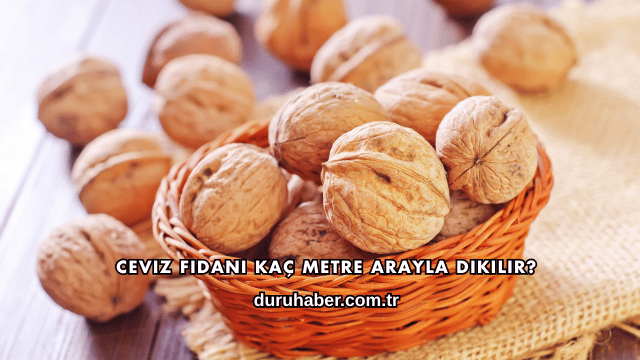 Ceviz Fidanı Kaç Metre Arayla Dikilir?