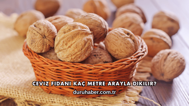 Ceviz Fidanı Kaç Metre Arayla Dikilir?