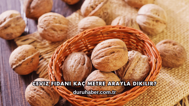 Ceviz Fidanı Kaç Metre Arayla Dikilir?