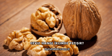 Ceviz Hangi İklimde Yetişir?