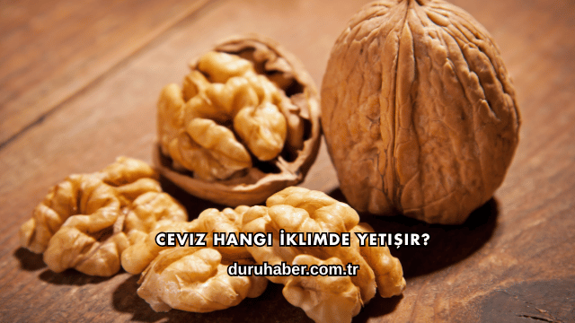 Ceviz Hangi İklimde Yetişir?