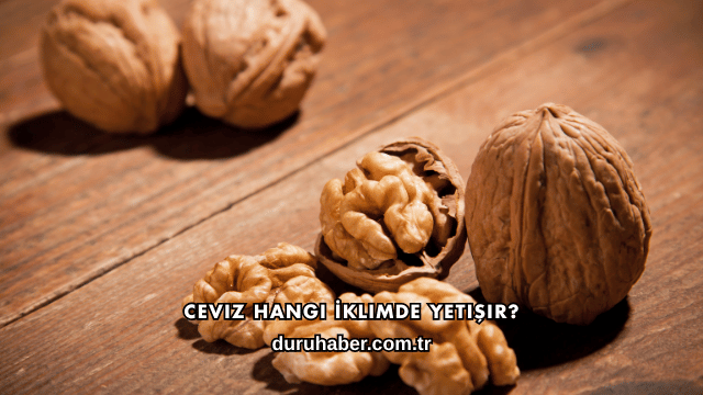 Ceviz Hangi İklimde Yetişir?