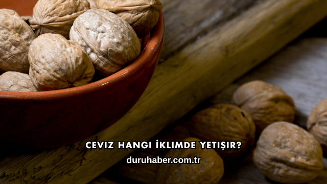 Ceviz Hangi İklimde Yetişir?