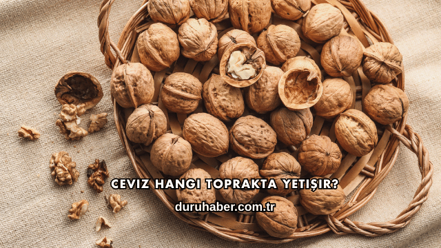 Ceviz Hangi Toprakta Yetişir?