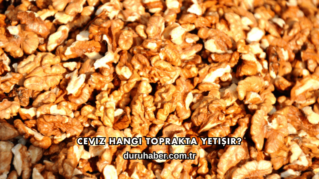 Ceviz Hangi Toprakta Yetişir?