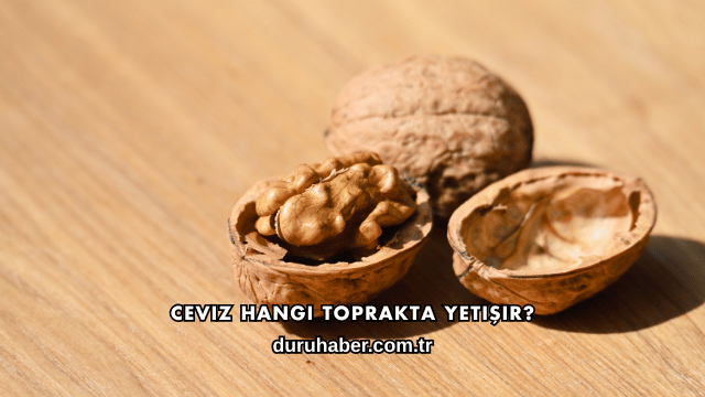 Ceviz Hangi Toprakta Yetişir?