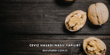 Ceviz Hasadı Nasıl Yapılır?