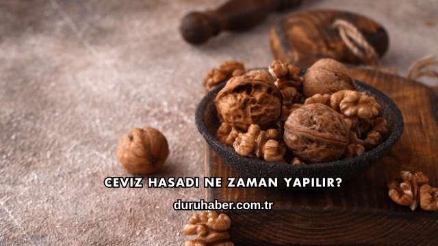 Ceviz Hasadı Ne Zaman Yapılır?