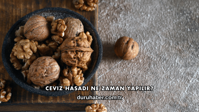 Ceviz Hasadı Ne Zaman Yapılır?