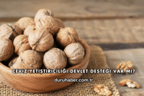 Ceviz Yetiştiriciliği Devlet Desteği Var mı?
