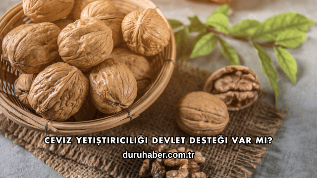Ceviz Yetiştiriciliği Devlet Desteği Var mı?