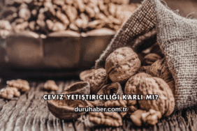 Ceviz Yetiştiriciliği Karlı mı?