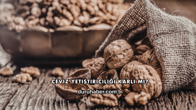Ceviz Yetiştiriciliği Karlı mı?
