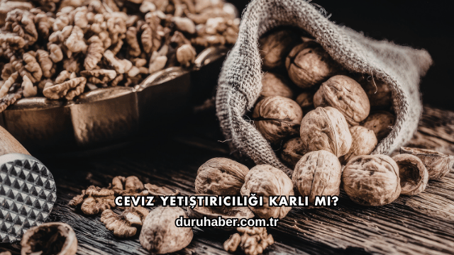 Ceviz Yetiştiriciliği Karlı mı?