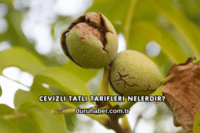 Cevizli Tatlı Tarifleri Nelerdir?
